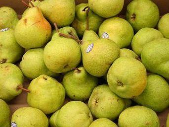 pears