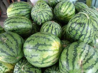 watermelons
